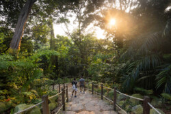 <a href="https://landscapearchitecturebuilt.com/staging/rifle-range-park">Rifle Range Park</a>, <br>Singapore An image of landscape architecture project Rifle Range Park, by design firm Henning Larsen, in Singapore.