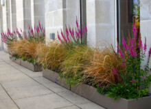 <a href="https://landscapearchitecturebuilt.com/staging/bank-roof-garden">Bank Roof Garden</a>, <br>London, UK An image of landscape architecture project Bank Roof Garden, by design firm Mylandscapes, in London, UK. Showing a roof garden of bespoke planters