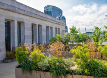 <a href="https://landscapearchitecturebuilt.com/staging/bank-roof-garden">Bank Roof Garden</a>, <br>London, UK An image of landscape architecture project Bank Roof Garden, by design firm Mylandscapes, in London, UK. Showing a roof garden of bespoke planters