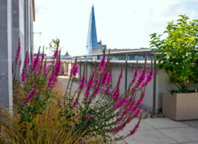<a href="https://landscapearchitecturebuilt.com/staging/bank-roof-garden">Bank Roof Garden</a>, <br>London, UK An image of landscape architecture project Bank Roof Garden, by design firm Mylandscapes, in London, UK. Showing a roof garden of bespoke planters