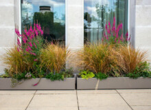 <a href="https://landscapearchitecturebuilt.com/staging/bank-roof-garden">Bank Roof Garden</a>, <br>London, UK An image of landscape architecture project Bank Roof Garden, by design firm Mylandscapes, in London, UK. Showing a roof garden of bespoke planters
