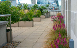 <a href="https://landscapearchitecturebuilt.com/staging/bank-roof-garden">Bank Roof Garden</a>, <br>London, UK An image of landscape architecture project Bank Roof Garden, by design firm Mylandscapes, in London, UK. Showing a roof garden of bespoke planters