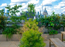 <a href="https://landscapearchitecturebuilt.com/staging/bank-roof-garden">Bank Roof Garden</a>, <br>London, UK An image of landscape architecture project Bank Roof Garden, by design firm Mylandscapes, in London, UK. Showing a roof garden of bespoke planters