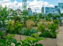 <a href="https://landscapearchitecturebuilt.com/staging/bank-roof-garden">Bank Roof Garden</a>, <br>London, UK An image of landscape architecture project Bank Roof Garden, by design firm Mylandscapes, in London, UK. Showing a roof garden of bespoke planters