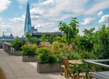 <a href="https://landscapearchitecturebuilt.com/staging/bank-roof-garden">Bank Roof Garden</a>, <br>London, UK An image of landscape architecture project Bank Roof Garden, by design firm Mylandscapes, in London, UK. Showing a roof garden of bespoke planters