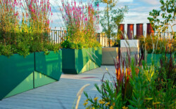 <a href="https://landscapearchitecturebuilt.com/staging/hampstead-roof-garden">Hampstead Roof Garden</a>, <br>London, UK