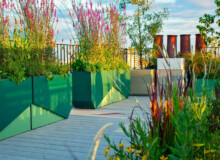 <a href="https://landscapearchitecturebuilt.com/staging/hampstead-roof-garden">Hampstead Roof Garden</a>, <br>London, UK