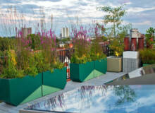 <a href="https://landscapearchitecturebuilt.com/staging/hampstead-roof-garden">Hampstead Roof Garden</a>, <br>London, UK