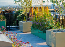 <a href="https://landscapearchitecturebuilt.com/staging/hampstead-roof-garden">Hampstead Roof Garden</a>, <br>London, UK