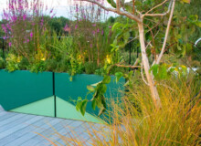 <a href="https://landscapearchitecturebuilt.com/staging/hampstead-roof-garden">Hampstead Roof Garden</a>, <br>London, UK