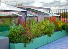 <a href="https://landscapearchitecturebuilt.com/staging/hampstead-roof-garden">Hampstead Roof Garden</a>, <br>London, UK