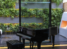 <a href="https://landscapearchitecturebuilt.com/staging/belgravia-green-wall">Belgravia Green Wall: A Biodiverse Tapestry</a>, <br>London, UK