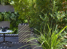 <a href="https://landscapearchitecturebuilt.com/staging/belgravia-green-wall">Belgravia Green Wall: A Biodiverse Tapestry</a>, <br>London, UK