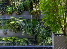 <a href="https://landscapearchitecturebuilt.com/staging/belgravia-green-wall">Belgravia Green Wall: A Biodiverse Tapestry</a>, <br>London, UK