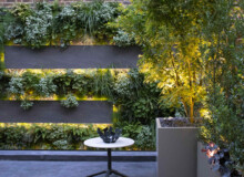 <a href="https://landscapearchitecturebuilt.com/staging/belgravia-green-wall">Belgravia Green Wall: A Biodiverse Tapestry</a>, <br>London, UK