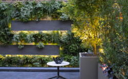<a href="https://landscapearchitecturebuilt.com/staging/belgravia-green-wall">Belgravia Green Wall: A Biodiverse Tapestry</a>, <br>London, UK