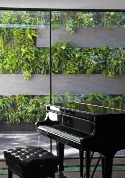 <a href="https://landscapearchitecturebuilt.com/staging/belgravia-green-wall">Belgravia Green Wall: A Biodiverse Tapestry</a>, <br>London, UK