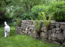 <a href="https://landscapearchitecturebuilt.com/staging/whetstone-biodiverse-garden">Whetstone Biodiverse Garden</a>, <br>London, UK
