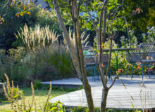 <a href="https://landscapearchitecturebuilt.com/staging/whetstone-biodiverse-garden">Whetstone Biodiverse Garden</a>, <br>London, UK