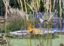 <a href="https://landscapearchitecturebuilt.com/staging/whetstone-biodiverse-garden">Whetstone Biodiverse Garden</a>, <br>London, UK