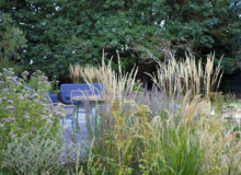 <a href="https://landscapearchitecturebuilt.com/staging/whetstone-biodiverse-garden">Whetstone Biodiverse Garden</a>, <br>London, UK