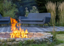 <a href="https://landscapearchitecturebuilt.com/staging/whetstone-biodiverse-garden">Whetstone Biodiverse Garden</a>, <br>London, UK