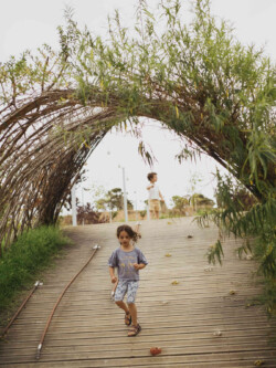 <a href="https://landscapearchitecturebuilt.com/staging/vallmora-park">Vallmora Park</a>, <br>Barcelona, Spain
