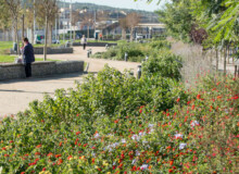 <a href="https://landscapearchitecturebuilt.com/staging/eix-de-la-via">Eix de la via</a>, <br>Barcelona, Spain