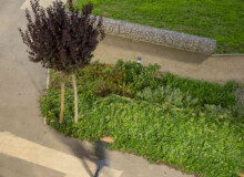 <a href="https://landscapearchitecturebuilt.com/staging/eix-de-la-via">Eix de la via</a>, <br>Barcelona, Spain