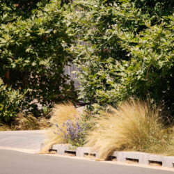 <a href="https://landscapearchitecturebuilt.com/staging/eix-de-la-via">Eix de la via</a>, <br>Barcelona, Spain
