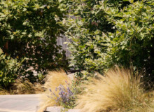 <a href="https://landscapearchitecturebuilt.com/staging/eix-de-la-via">Eix de la via</a>, <br>Barcelona, Spain