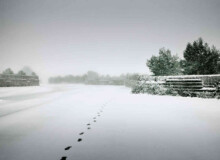 <a href="https://landscapearchitecturebuilt.com/staging/garraf-landfill-restoration">Garraf Landfill Restoration</a>, <br>Barcelona, Spain