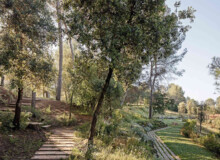 <a href="https://landscapearchitecturebuilt.com/staging/forest-path-roques-blanques">Forest path in the Roques Blanques Cemetery</a>, <br>Barcelona, Spain