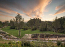 <a href="https://landscapearchitecturebuilt.com/staging/forest-path-roques-blanques">Forest path in the Roques Blanques Cemetery</a>, <br>Barcelona, Spain