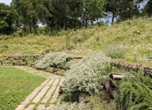<a href="https://landscapearchitecturebuilt.com/staging/forest-path-roques-blanques">Forest path in the Roques Blanques Cemetery</a>, <br>Barcelona, Spain