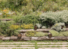 <a href="https://landscapearchitecturebuilt.com/staging/forest-path-roques-blanques">Forest path in the Roques Blanques Cemetery</a>, <br>Barcelona, Spain