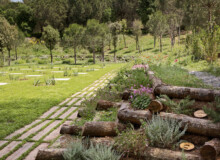 <a href="https://landscapearchitecturebuilt.com/staging/forest-path-roques-blanques">Forest path in the Roques Blanques Cemetery</a>, <br>Barcelona, Spain