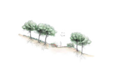 <a href="https://landscapearchitecturebuilt.com/staging/forest-path-roques-blanques">Forest path in the Roques Blanques Cemetery</a>, <br>Barcelona, Spain
