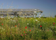 <a href="https://landscapearchitecturebuilt.com/staging/toulouse-meett">Toulouse Exhibition and Convention Centre MEETT</a>, <br>Toulouse, France