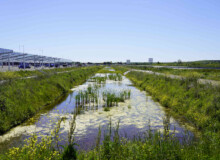 <a href="https://landscapearchitecturebuilt.com/staging/toulouse-meett">Toulouse Exhibition and Convention Centre MEETT</a>, <br>Toulouse, France