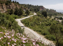 <a href="https://landscapearchitecturebuilt.com/guixeres-path">Guixeres path</a>, <br>Barcelona, Spain