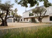 <a href="https://landscapearchitecturebuilt.com/old-winery-road">Old Winery Road Residence</a>, <br>Sonoma, CA, USA An image of landscape architecture project Old Winery Road Residence, by design firm Munden Fry Landscape Associates, in Sonoma, CA, USA. Showing a large house with a decomposed granite courtyard in front, with four large mature olive trees. Bouteloua grass is in the foreground.