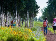 <a href="https://landscapearchitecturebuilt.com/harbin-cultural-center-wetland-park">The Harbin Cultural Center Wetland Park</a>, <br>Harbin, Heilongjiang Province, China