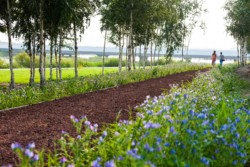 <a href="https://landscapearchitecturebuilt.com/harbin-cultural-center-wetland-park">The Harbin Cultural Center Wetland Park</a>, <br>Harbin, Heilongjiang Province, China