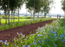 <a href="https://landscapearchitecturebuilt.com/harbin-cultural-center-wetland-park">The Harbin Cultural Center Wetland Park</a>, <br>Harbin, Heilongjiang Province, China