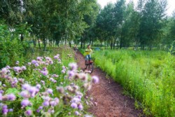 <a href="https://landscapearchitecturebuilt.com/harbin-cultural-center-wetland-park">The Harbin Cultural Center Wetland Park</a>, <br>Harbin, Heilongjiang Province, China