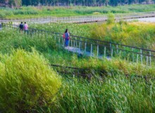 <a href="https://landscapearchitecturebuilt.com/harbin-cultural-center-wetland-park">The Harbin Cultural Center Wetland Park</a>, <br>Harbin, Heilongjiang Province, China