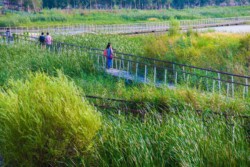 <a href="https://landscapearchitecturebuilt.com/harbin-cultural-center-wetland-park">The Harbin Cultural Center Wetland Park</a>, <br>Harbin, Heilongjiang Province, China