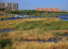 <a href="https://landscapearchitecturebuilt.com/harbin-cultural-center-wetland-park">The Harbin Cultural Center Wetland Park</a>, <br>Harbin, Heilongjiang Province, China