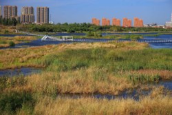 <a href="https://landscapearchitecturebuilt.com/harbin-cultural-center-wetland-park">The Harbin Cultural Center Wetland Park</a>, <br>Harbin, Heilongjiang Province, China